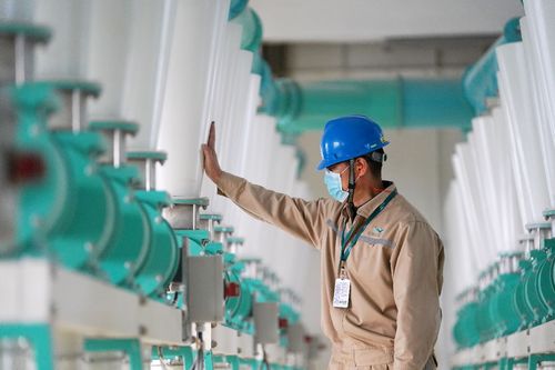 益海嘉里金龍魚 疫情之下穩舵前行，持續加碼中國市場